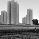 New Town, Kolkata.